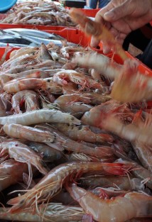 La demanda de pescado y marisco para esta Cuaresma, esto ya en el tradicional mercado La Rotonda. 