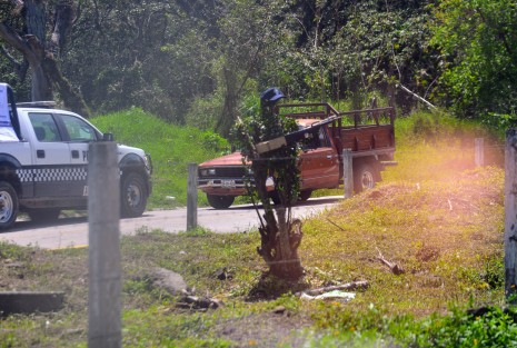 En algún lugar de Veracruz, y luego de la concentración de muchos elementos de seguridad en el penal de La Toma, estos optaron por utilizar refuerzos camuflados de última generación. 