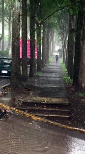 Fuerte aguacero cayó en gran parte de la ciudad de Xalapa este miércoles. 