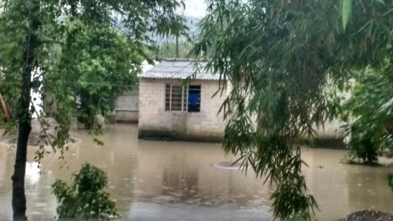 En la comunidad de Paso del Correo, municipio de Papantla, 25 viviendas resultaron afectadas debido a las fuertes lluvias y vientos que trajo el frente frío 41. 