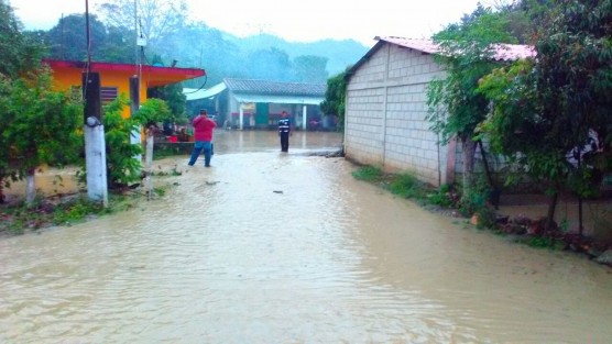 En la comunidad de Paso del Correo, municipio de Papantla, 25 viviendas resultaron afectadas debido a las fuertes lluvias y vientos que trajo el frente frío 41. 