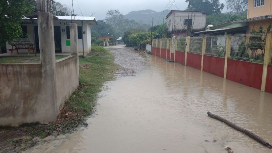 En la comunidad de Paso del Correo, municipio de Papantla, 25 viviendas resultaron afectadas debido a las fuertes lluvias y vientos que trajo el frente frío 41. 