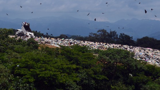 El alcalde de Xalapa, Hipólito Rodríguez Herrero, dijo que será la subdirección de servicios municipales del ayuntamiento quien se haga cargo del relleno sanitario ubicado en El Tronconal, ya que el cabildo finiquitará el contrato con la empresa Proactiva.  