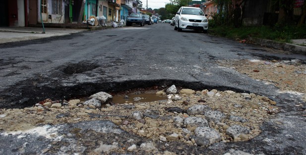 Vida cotidiana en Xalapa, en donde el florece es de pura lengua del Ayuntamiento.  