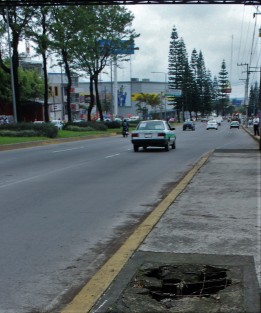 Vida cotidiana en Xalapa, en donde el florece es de pura lengua del Ayuntamiento. 