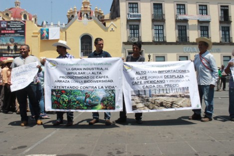 Este lunes por la mañana, cafeticultores se manifestaron en la Plaza Lerdo contra la importación de café. 