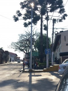 Desde hace unas semanas fue colocado un poste para colocar cámara de videovigilancia en la esquina de Xalapeños Ilustres y Arteaga. Sin embargo, además de haberse colocado entorpeciendo el paso de los peatones quienes cruzan la calle, ni siquiera fue buen fijado el mismo, dejando la banqueta rota.  
