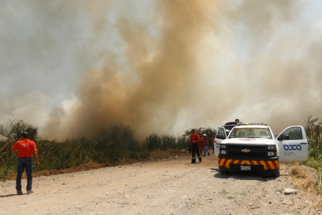 Un fuerte incendio se registró en la zona de Tembladeras, un área natural protegida de Veracruz, Ver. El siniestro consumió varias hectáreas de vegetación. Por su cercanía con la Fiscalía Regional, el mismo personal tuvo que aplicarse en tareas para sofocar el fuego. 