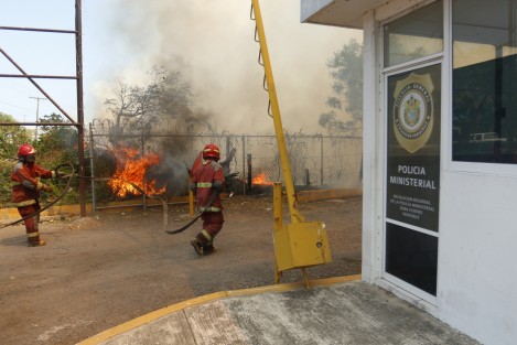 Un fuerte incendio se registró en la zona de Tembladeras, un área natural protegida de Veracruz, Ver. El siniestro consumió varias hectáreas de vegetación. Por su cercanía con la Fiscalía Regional, el mismo personal tuvo que aplicarse en tareas para sofocar el fuego. 