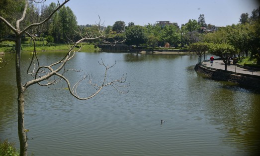 A pesar de los esfuerzos que realizan las personas de parques y jardines en la zona de Los Lagos, como es costumbre, los olores fétidos, basura y peces muertos son las constantes de este sitio.   