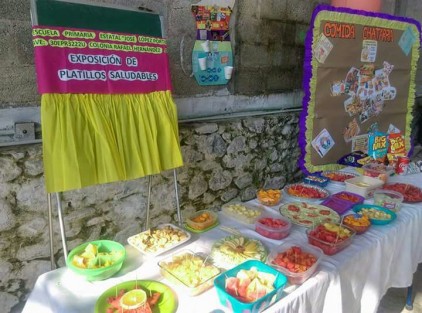 Los platillos saludables son de gran importancia para la prevención de los problemas de  obesidad  y sobrepeso.