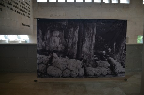 En la Sala de Exposiciones Temporales del  Museo de Antropología de Xalapa (MAX) de la Universidad Veracruzana (UV)  se presenta actualmente la exposición:  <em>La belleza de Seki-Butsu; Buda en Piedra de Japón</em>, muestra fotográfica del investigador japonés Soutaro Sato. 
