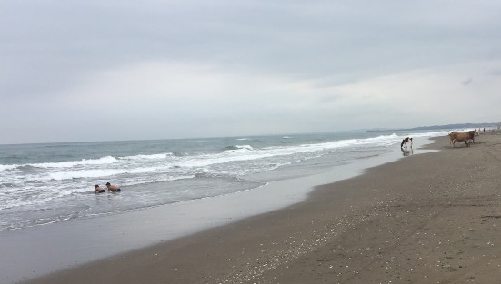 A pesar de la belleza  natural del sitio, visitantes y pobladores aun no cuentan la educación ecológica adecuada, por lo que uno encuentra desde botellas, envolturas y demás basura en el sitio.