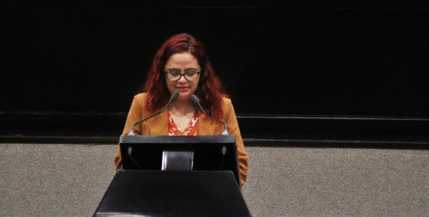 Así transcurrió el nuevo periodo de la sesión de diputados, ordinaria del pleno en el Congreso.  