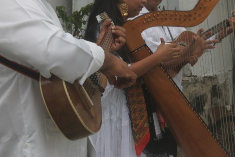 Debido a la importancia cultural que representa el Festival Internacional del Arpa que se celebra en el municipio de Alto Lucero de Gutiérrez Barrios, el diputado Ernesto Cuevas Hernández presentó un Anteproyecto con Punto de Acuerdo para exhortar al Ejecutivo estatal a declararlo como Patrimonio Cultural del Estado de Veracruz de Ignacio de la Llave.