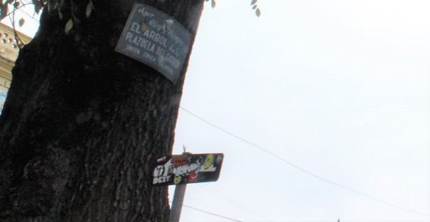 Señales de Tránsito en el primer cuadro de la capital Xalapa, sin señalar nada; la mayoría se ve así. 