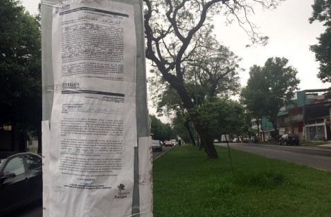 Una serie de dimes y diretes se armaron entre el alcalde de Xalapa, Hipólito Rodríguez, y el gobernador Miguel Ángel Yunes, luego de que se diera a conocer que la dirección de Desarrollo Urbano y medio ambiente colocara una acta de verificación en los postes para las cámaras de vigilancia que se colocarán por la ciudad. 