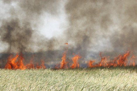 Un fuerte incendio se registro en una zona de humedales de Boca del Río, detrás del fraccionamiento Las Vegas. Bomberos y cuerpos de auxilio trabajan para sofocar el fuego.