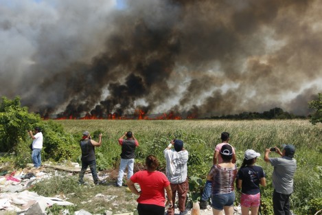Un fuerte incendio se registro en una zona de humedales de Boca del Río, detrás del fraccionamiento Las Vegas. Bomberos y cuerpos de auxilio trabajan para sofocar el fuego.