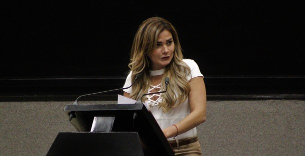 La diputada María Josefina Gamboa Torales presentó la iniciativa que reforma la Ley de los Derechos de Niñas, Niños y Adolescentes del Estado de Veracruz para crear el Registro Estatal de Menores, siendo ésta la base de datos con muestras biométricas de las huellas digitales o dactilares de menores, que resguardaría la Procuraduría Estatal de Protección de Niñas, Niños y Adolescentes; perteneciente al Sistema Estatal para el Desarrollo Integral de la Familia del Estado (DIF). 