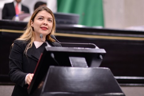 Diputado Regina Vázquez. 