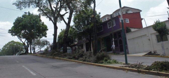 La jardinería de parques y jardines es para embellecer, no para afear más, con los montones de escombros de varas, hojas sin recoger; ahí los dejaron y en vés de que un jardín se vea bonito se afea. Serán tiempos de la fea Xalapa de algunos años atrás..   .