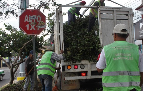 Por fin se vieron los de parques y jardines levantando los escombros de los árboles podados, por si les gana el aguacero no tapen las arcantarillas pluviales. 