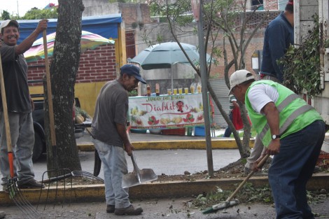 Por fin se vieron los de parques y jardines levantando los escombros de los árboles podados, por si les gana el aguacero no tapen las arcantarillas pluviales.  