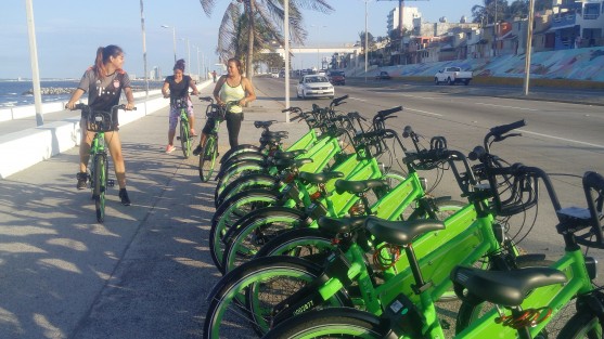 Ciudadanos ahora pueden hacer uso de bicicletas ecológicas aparcadas en la zona turística de Boca del Río. La hora cuesta 10 pesos y deben bajar la aplicación VBIKE.
