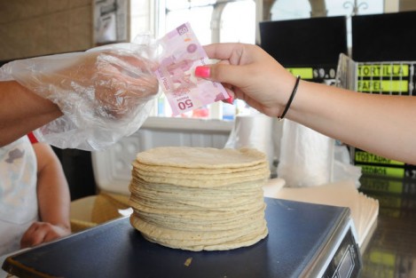 Reduce el costo del kilogramo de tortilla en beneficio de la economía familiar.

