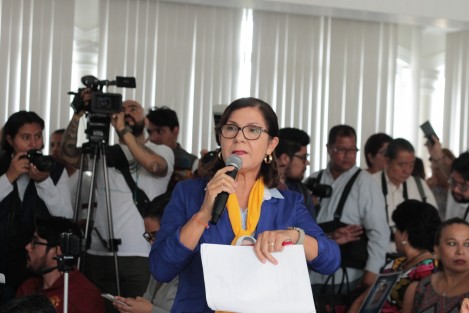 Lucía Díaz, del Colectivo Solecito, lamentó  que el tema de las desapariciones se esté manejando por las autoridades con fines electoreros, y condenó a que si estas acciones favorecen errores que pudieran dejar en libertad a culpables, ellos deberán pagarlo. 
