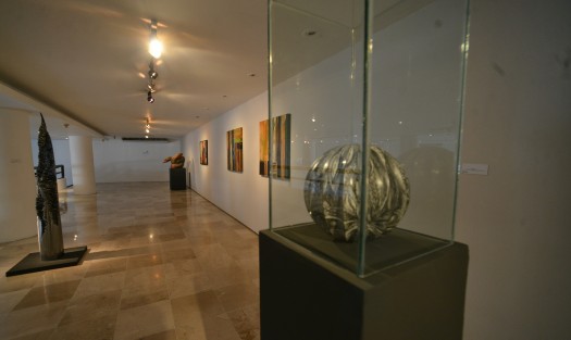 En la pinacoteca Diego Rivera se encuentra la exposición Arte de Veracruz colección pago en especie 2018, la cual consta de obras nacionales y extranjeras.  
