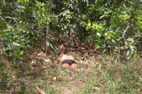 Este viernes fueron hallados los cuerpos de dos mujeres a un costado del camino de terracería que conduce de la comunidad Arroyo de Piedra a la localidad de La Reforma, municipio de Tlapacoyan, Ver..