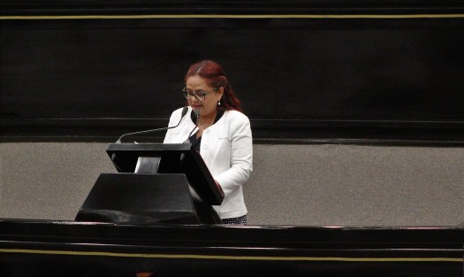 Al presentar la iniciativa, la legisladora Daniela Griego subrayó que esta iniciativa aborda aspectos importantes del Instituto que, a partir de una nueva estructura organizacional y de toma de decisiones, le otorgará mayor independencia y capacidad de crecimiento.