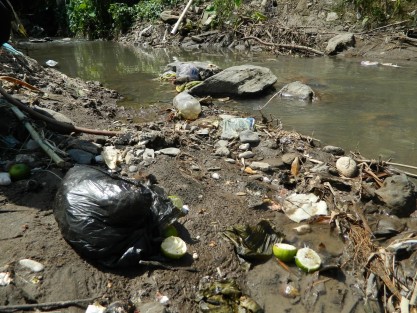 Escenario crítico en materia ambiental para el estado de Veracruz debido al alto grado de contaminación que genera la mano del hombre.
