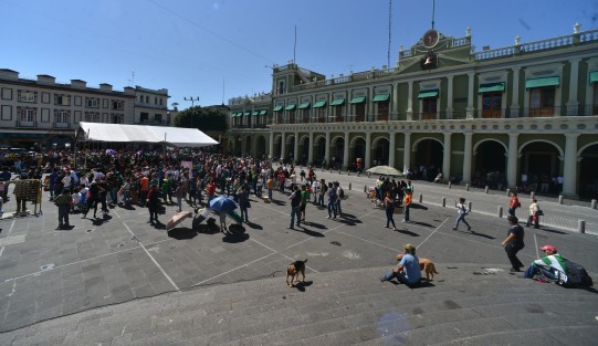 Xalapeños viven las emociones del partido México - Corea, en la Plaza Lerdo.