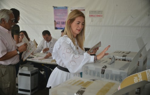 Como es habitual, varios políticos acudieron a emitir su voto en las casillas instaladas en el Club Britania del Fraccionamiento Las Ánimas de Xalapa, incluso algunos que tienen residencia en otra zona de la capital.