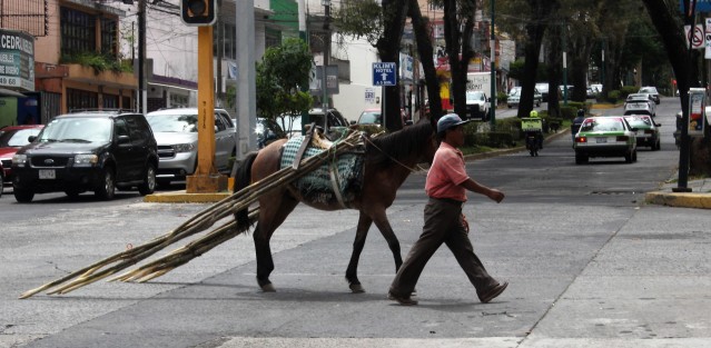 Medios de transporte.