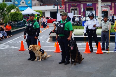  Agrupamiento canino de la Fuerza Civil brinda sus servicios a toda la población.
