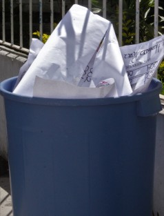 Presupuesto millonario para las elecciones, tirado a la basura.