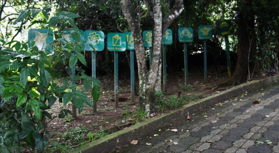 Pese a ser lugares turísticos de la capital veracruzana, el parque ecológico Cerro del Macuiltépetl luce y sus alrededores lucen descuidados y faltos de mantenimiento. 