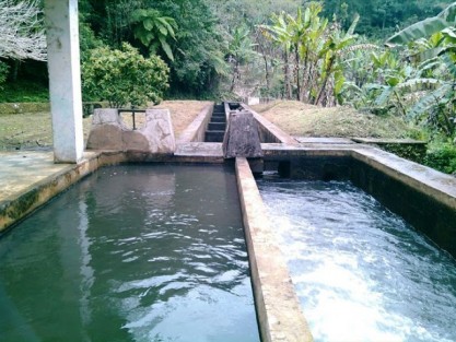  Preparan segunda charla sobre el sistema municipal de agua de Tlapacoyan.
