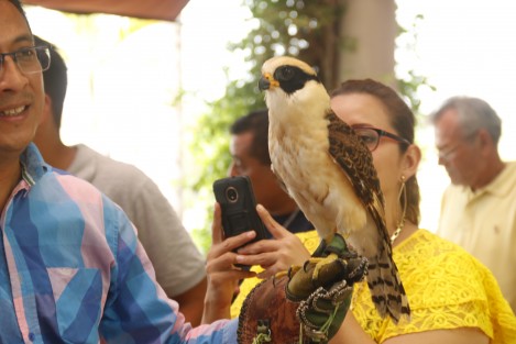 Regidores de MORENA, presentaron el programa de la Eco Feria Boca del Río 2018 que se llevará a cabo los días 14 y 15 de julio en Plaza Banderas. Durante el desarrollo de la feria se impartirán talleres sobre creaciones de huertos verticales, reciclaje de materiales, convivencia con especies exóticas y hasta comida a base de insectos.