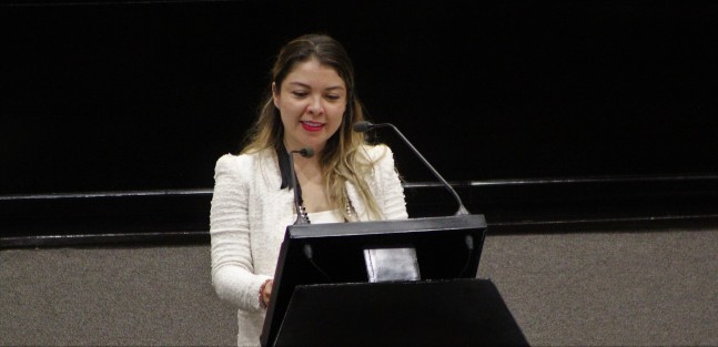 La diputada Regina Vázquez Saut, integrante del Grupo Legislativo del Partido Acción Nacional (PAN), presentó una iniciativa de Ley de Protección, Conservación y Fomento de Arbolado y Áreas Verdes Urbanas para el Estado, con la finalidad de normar, regular y promover en la entidad el incremento, desarrollo, conservación, protección, mantenimiento, manejo, preservación y restitución de palmas y árboles en zonas urbanas.