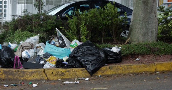 Siguen los montones de basura afeando las jardineras que según puso el Ayuntamiento de Xalapa. 