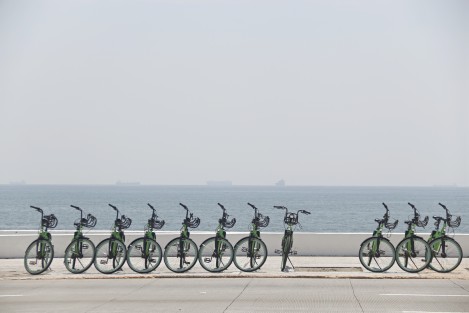 Federico Polakoff, director operativo de VBike México, aseguró que fueron recuperadas 3 bicicletas ecológicas que salieron del rango de circulación permitido. Las bicicletas fueron halladas en la zona norte de la ciudad de Veracruz, gracias a la efectividad de su dispositivo de localización. 