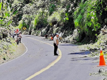Como parte de las acciones del H. Ayuntamiento de Teocelo, Veracruz para recibir en las mejores condiciones a turistas en la temporada vacacional verano 2018, el presidente municipal Mario Antonio Chama Díaz, instruyó la limpieza de cunetas, eliminación de maleza y mantenimiento general de la carretera de la Barranca Matlacobatl, misma que da acceso al municipio de Teocelo. 