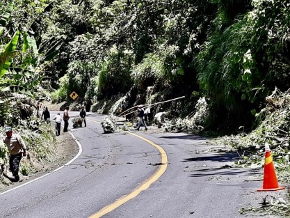 Como parte de las acciones del H. Ayuntamiento de Teocelo, Veracruz para recibir en las mejores condiciones a turistas en la temporada vacacional verano 2018, el presidente municipal Mario Antonio Chama Díaz, instruyó la limpieza de cunetas, eliminación de maleza y mantenimiento general de la carretera de la Barranca Matlacobatl, misma que da acceso al municipio de Teocelo. 