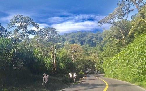 
Como parte de las acciones del H. Ayuntamiento de Teocelo, Veracruz para recibir en las mejores condiciones a turistas en la temporada vacacional verano 2018, el presidente municipal Mario Antonio Chama Díaz, instruyó la limpieza de cunetas, eliminación de maleza y mantenimiento general de la carretera de la Barranca Matlacobatl, misma que da acceso al municipio de Teocelo. 