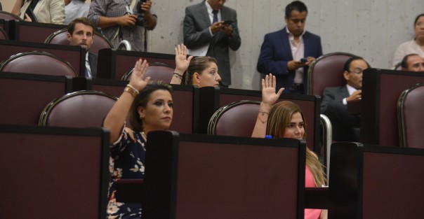 El Pleno de la LXIV Legislatura de Veracruz aprobó que se garantizarán los servicios de salud mental ofrecidos por la Secretaría de Salud (SS), de la entidad, de forma adecuada, con calidad, calidez y profesionalismo a toda aquella persona que así lo requiera.